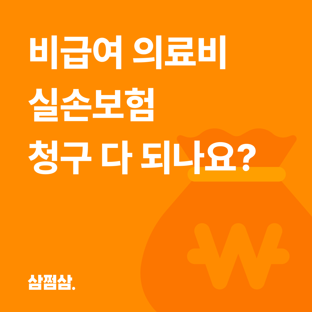비급여_의료비_병원비_진료비_실손보험_청구_기준_뜻_조회_방법.png